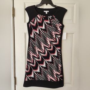 NWT Woman's Dress Size 4